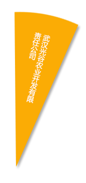 博亿国际(中国)有限公司