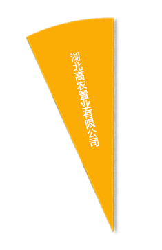 博亿国际(中国)有限公司