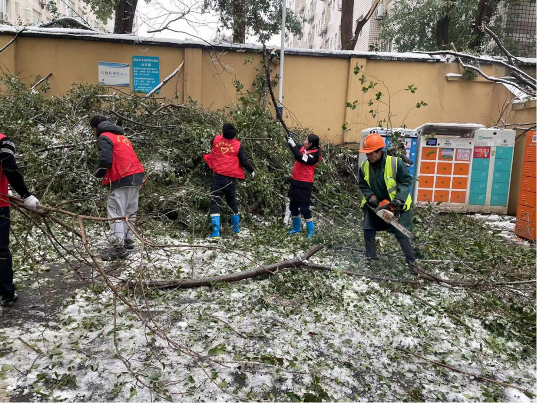 博亿国际(中国)有限公司