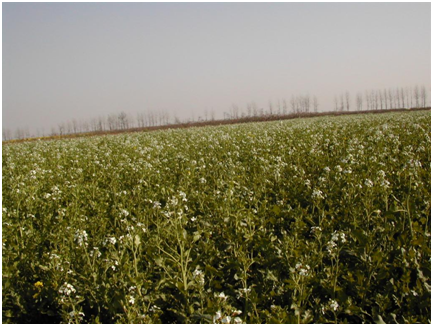 博亿国际(中国)有限公司