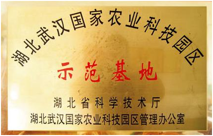 博亿国际(中国)有限公司