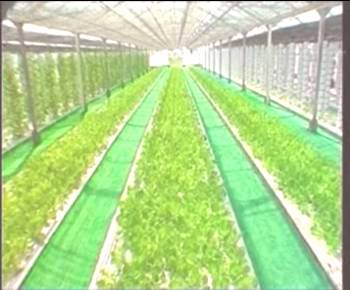 博亿国际(中国)有限公司