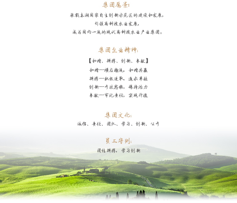 博亿国际(中国)有限公司