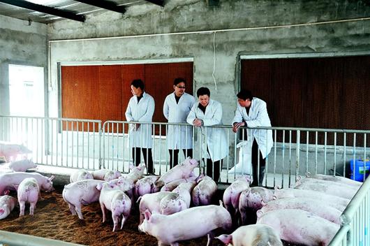 博亿国际(中国)有限公司