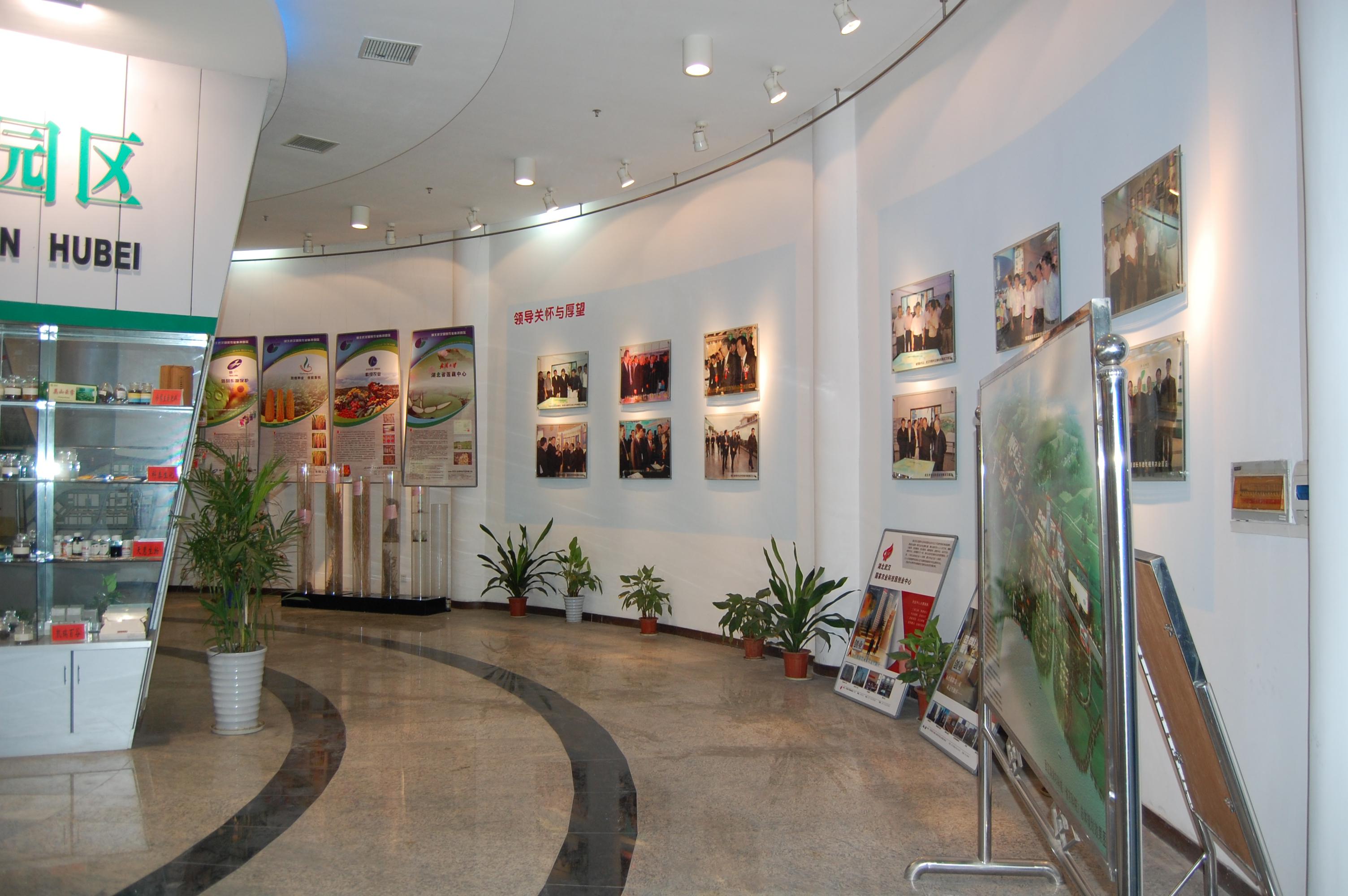 博亿国际(中国)有限公司