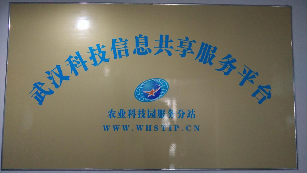 博亿国际(中国)有限公司