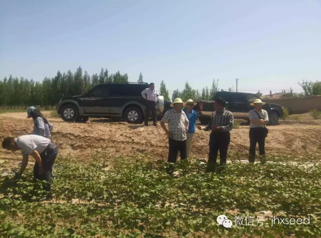 博亿国际(中国)有限公司