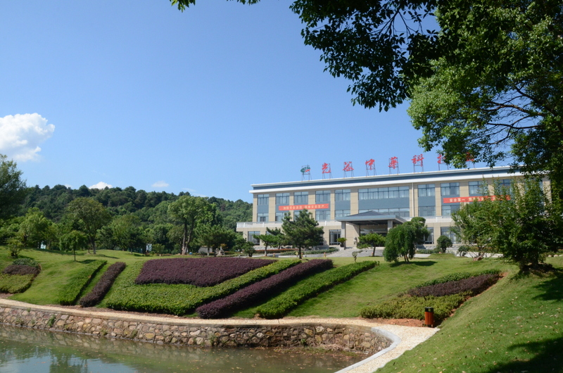 博亿国际(中国)有限公司