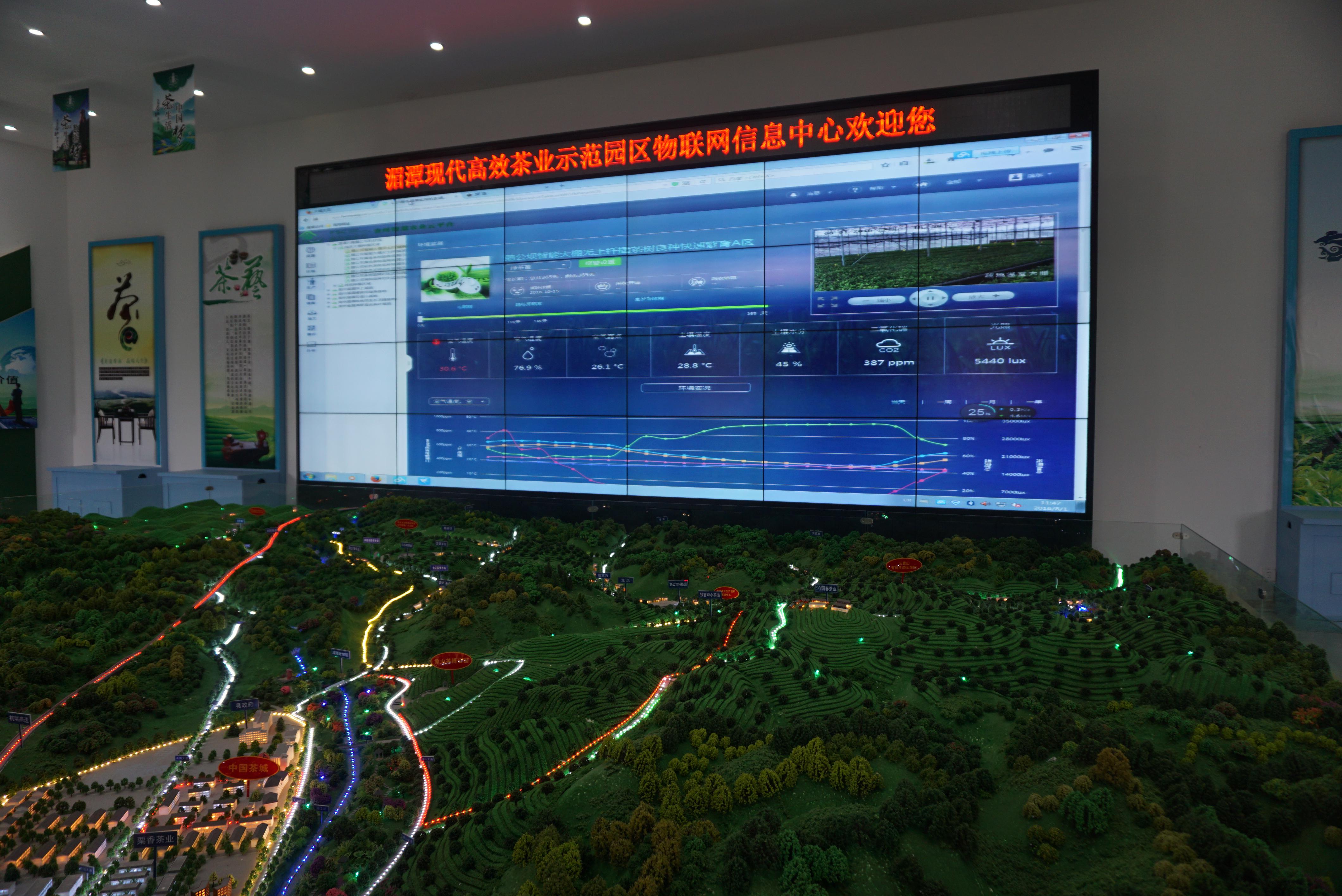 博亿国际(中国)有限公司