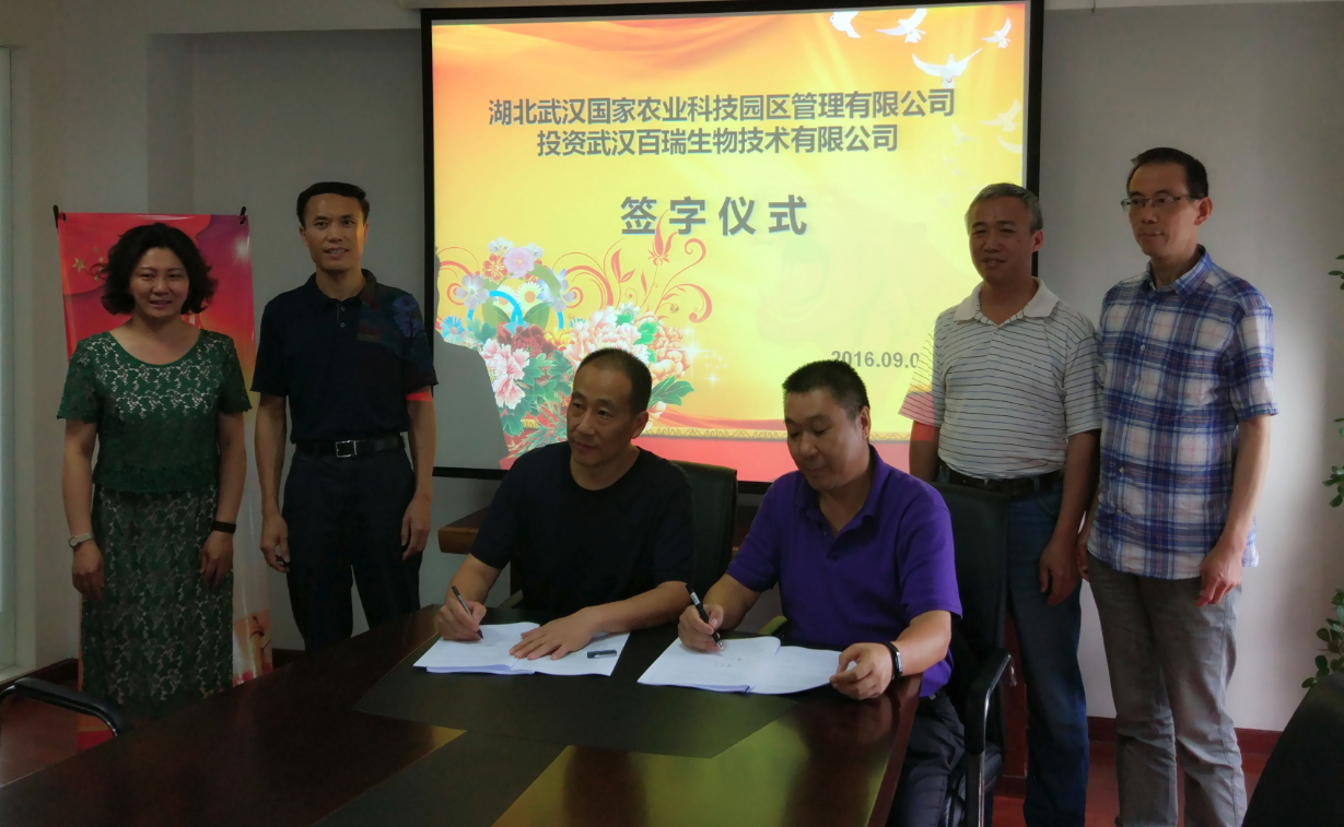 博亿国际(中国)有限公司