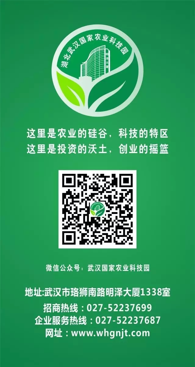博亿国际(中国)有限公司