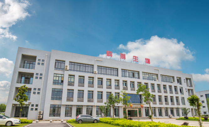 博亿国际(中国)有限公司