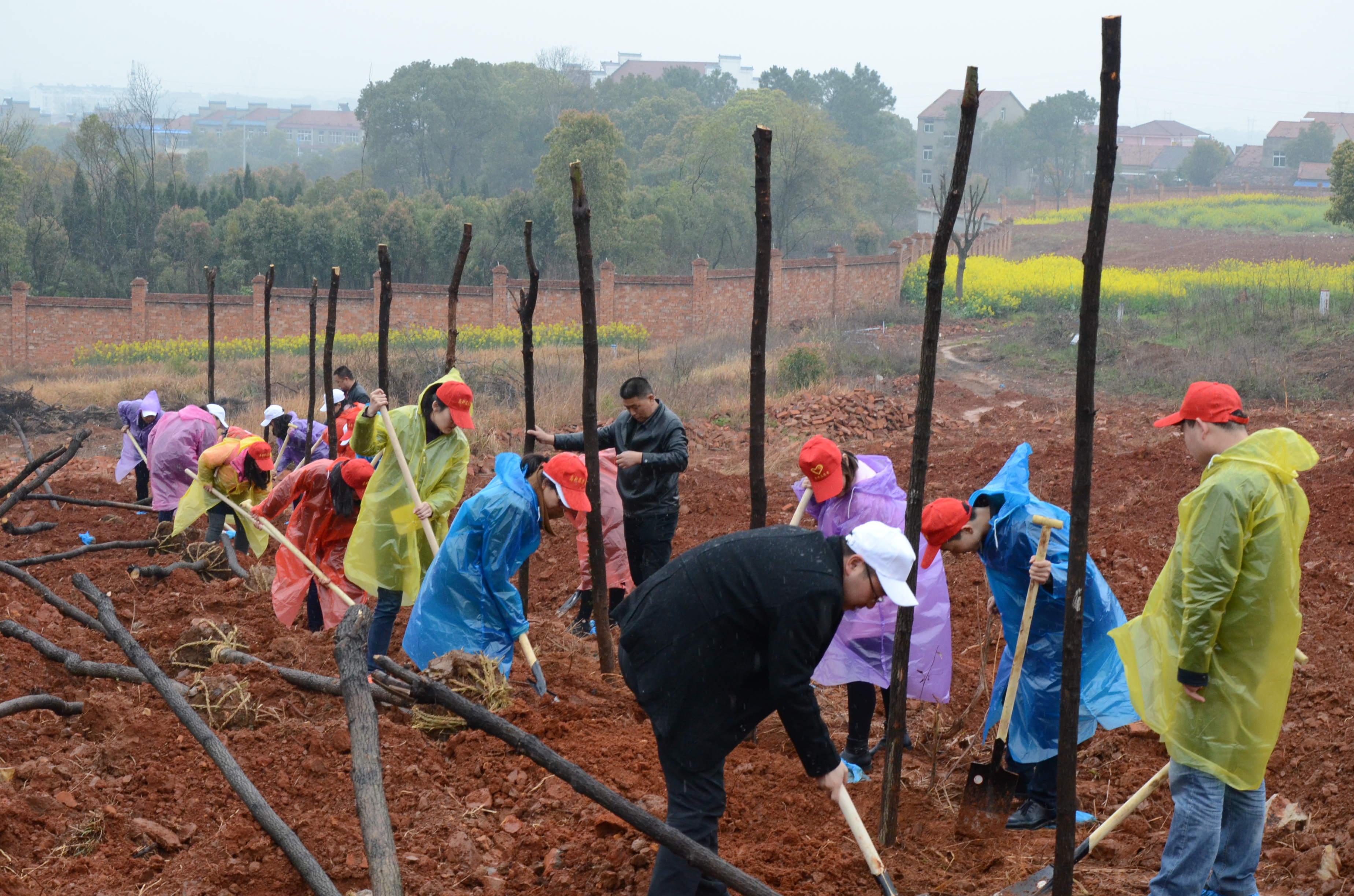 博亿国际(中国)有限公司