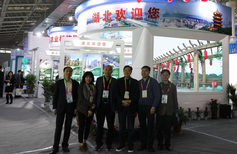 博亿国际(中国)有限公司